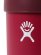 画像4: Hydro Flask BEER 16 OZ COOLER CUP-SNAPPER (4)