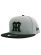 画像1: NEW ERA 9FIFTY NPB HANSHIN TIGERS GREY/BLK VISOR (1)