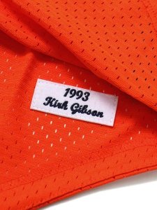 画像3: 【送料無料】MITCHELL & NESS AUTHENTIC MESH BP-K.GIBSON 93 #23 TIGERS (3)