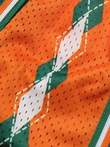 画像6: 【SALE】MITCHELL & NESS SWINGMAN SHORTS FLORIDA A&M 1997 (6)