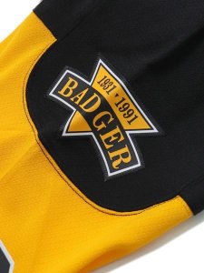 画像9: 【送料無料】MITCHELL & NESS NHL JERSEY PENGUINS 1991 #66 M.LEMIEUX (9)