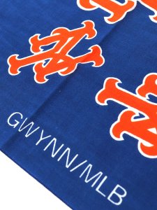 画像4: INFIELDER DESIGN MLB LOGO STOLE NEW YORK METS (4)