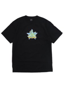 画像1: 【SALE】HUF BUD BOY S/S TEE (1)