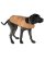 画像7: 【送料無料】CARHARTT DOG CAMO CHORE COAT TARMAC DUCK CAMO (7)