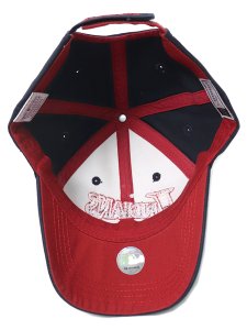 画像5: 【SALE】PUMA A.T.A. HOOK AND LOOP 6PANEL CAP INDIANS (5)