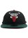 画像2: NEW ERA LP 9FIFTY NBA BULLS BLK/DK GRN VISOR (2)