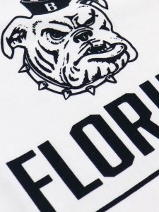 画像3: 【SALE】【KIDS】CHAMPION KIDS RW US COTTON TEE TAMPA BAY-WHITE (3)