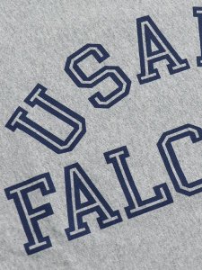 画像3: 【SALE】CHAMPION RW 9.4oz JERSEY TEE USAFA-OXFORD GRY/NVY (3)