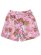 画像2: 【SALE】REASON DIPSET KILLA CAM MESH SHORT MULTI (2)