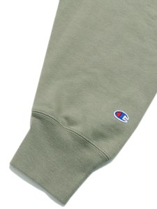画像6: 【SALE】CHAMPION ARENA RW PULLOVER HOODIE WASH SDSTONE GR (6)