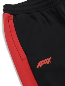 画像4: 【SALE】PUMA F1 MT7+ TRACK PANT-PUMA BLACK (4)
