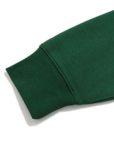 画像6: 【SALE】【送料無料】POLO RALPH LAUREN POLO SPORT FLEECE SWEATSHIRT GRN/GLD/RED (6)