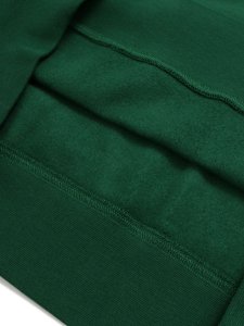 画像5: 【SALE】【送料無料】POLO RALPH LAUREN POLO SPORT FLEECE SWEATSHIRT GRN/GLD/RED (5)