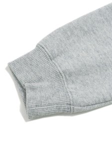 画像7: 【KIDS】THE NORTH FACE KIDS FRONTVIEW CREW (7)