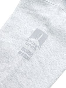 画像6: 【SALE】【送料無料】INTERBREED IB RECORDS HEAVY WEIGHT HOODIE ASH (6)