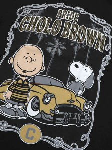 画像3: STREET WEAR PNTS PRIDE CHOLO BROWN TEE (3)