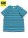 画像1: 【KIDS】CHAMPION KIDS BORDER S/S TEE-TEAL BLUE (1)