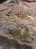 画像4: 【送料無料】SCHOTT RAYON SUKA ASING JACKET BEIGE (4)