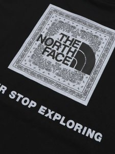 画像4: THE NORTH FACE S/S BANDANA SQUARE LOGO TEE (4)