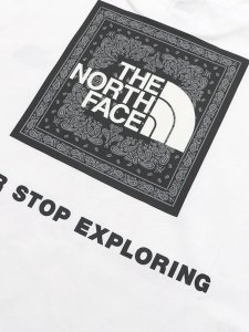 画像4: THE NORTH FACE S/S BANDANA SQUARE LOGO TEE (4)