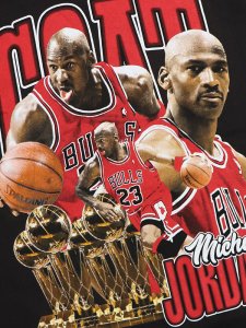 画像3: ARTIST SPORT TEE MJ THE GOAT (3)