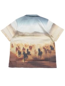 画像2: 【SALE】DICKIES RUNNING WILD S/S SHIRT (2)