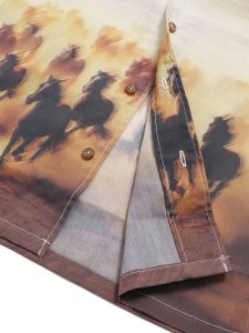 画像6: 【SALE】DICKIES RUNNING WILD S/S SHIRT (6)