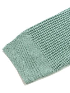 画像7: 【送料無料】REIGNING CHAMP SUPIMA KNIT ANTHEM CREW SWEATER SAGE (7)