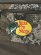 画像6: BASS PRO SHOPS BPS CATCH-ALL GEAR BAG TRUE TIMBER STRAT (6)