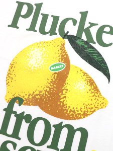 画像3: MARKET OBSCURITY TEE WHITE (3)