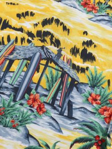 画像4: 【SALE】POLO RALPH LAUREN SURF SHACK SCENIC TEE (4)