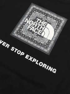 画像4: 【KIDS】THE NORTH FACE TODDLER S/S BANDANA SQUARE LOGO TEE (4)