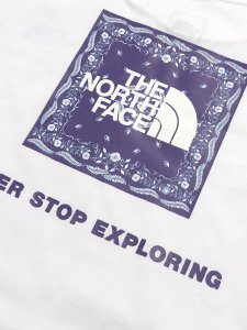 画像4: 【KIDS】THE NORTH FACE TODDLER S/S BANDANA SQUARE LOGO TEE (4)
