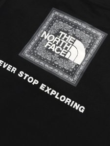 画像5: 【KIDS】THE NORTH FACE BABY S/S BANDANNA SQUARE LOGO TEE (5)