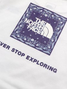 画像4: 【KIDS】THE NORTH FACE KIDS S/S BANDANA SQUARE LOGO TEE (4)
