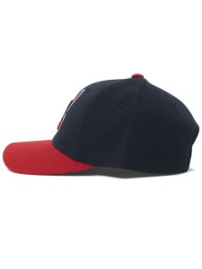 画像3: PUMA A.T.A. DAD CAP INDIANS (3)