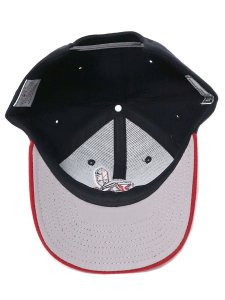 画像5: PUMA A.T.A. DAD CAP INDIANS (5)