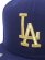 画像8: 【送料無料】NEW ERA 59FIFTY 2025 GOLD COLLECTION LA DODGERS (8)