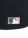 画像8: NEW ERA 59FIFTY CS EXPOS 25TH U/GY FB NVY/GRN (8)