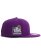 画像4: NEW ERA 59FIFTY CS DODGERS WS2024 U/GY FB PUR/WHT (4)
