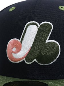 画像7: NEW ERA 59FIFTY CS EXPOS 25TH U/GY FB NVY/GRN (7)