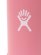 画像7: 【KIDS】Hydro Flask 12 OZ KIDS WIDE MOUTH BOTTLE-DAHLIA (7)