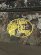 画像5: BASS PRO SHOPS BPS CATCH-ALL GEAR BAG TRUE TIMBER STRAT (5)