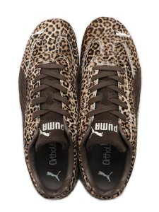 画像6: 【送料無料】PUMA WMNS SPEEDCAT WILD CHOCOLATE/WARM WHITE (6)