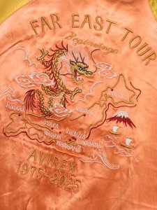 画像11: 【送料無料】AVIREX VELVETEEN SUKA JACKET (11)