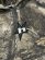 画像3: 【送料無料】HUF REALTREE HEAVYWEIGHT HOODIE (3)