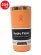 画像1: Hydro Flask DRINKWARE 12 OZ ALL AROUND TUMBLER-NECTAR (1)