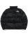 画像1: 【送料無料】THE NORTH FACE NUPTSE JACKET (1)