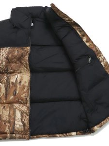 画像5: 【送料無料】THE NORTH FACE NOVELTY NUPTSE VEST (5)