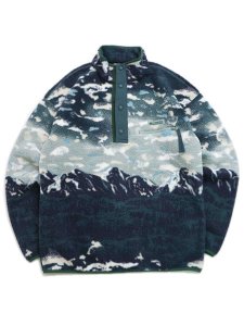 画像1: 【送料無料】COLUMBIA HELVETIA II PRINTED HALF SNAP FLEECE (1)